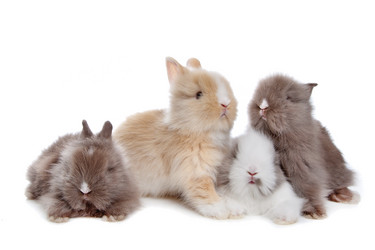 Similar image 1470750