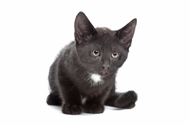 Similar image 1470752