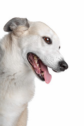 Similar image 1470754