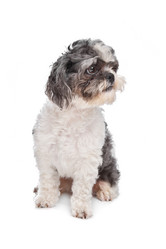 Similar image 1470756