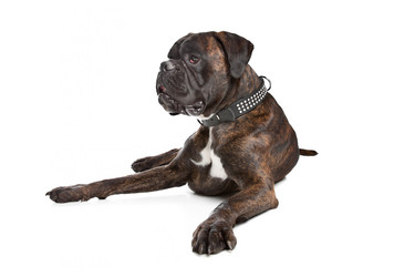 Similar image 1470760