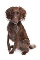 Similar image 1470818