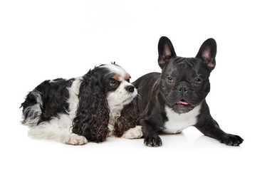 Similar image 1470821