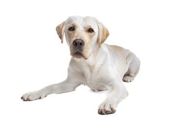 Similar image 1470823