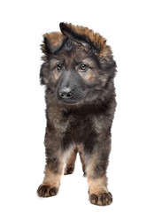 Similar image 1470828