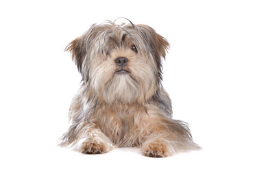 Similar image 1470829