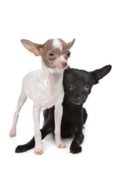 Similar image 1470831