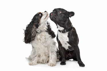 Similar image 1470834