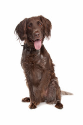 Similar image 1470843