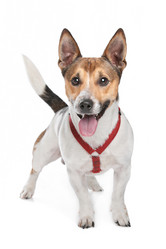 Similar image 1470850