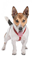 Similar image 1470852