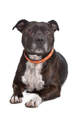 Similar image 1470856