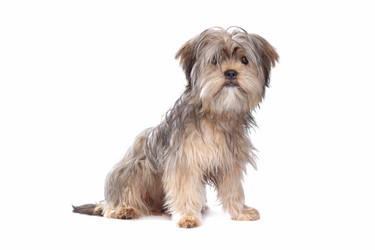 Similar image 1470858