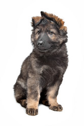 Similar image 1470859