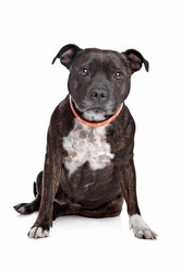 Similar image 1470861