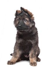 Similar image 1470868