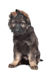 Similar image 1470869