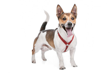 Similar image 1470874