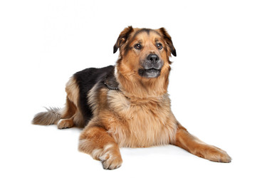 Similar image 1470898