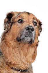 Similar image 1470902