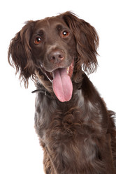 Similar image 1470905