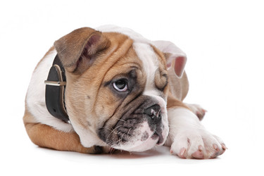 Similar image 1470911