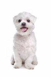 Similar image 1470913