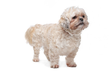 Similar image 1470917