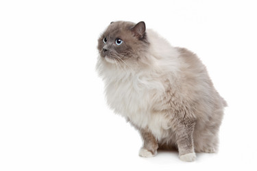 Similar image 1470918