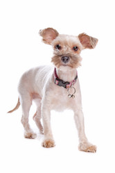 Similar image 1470925