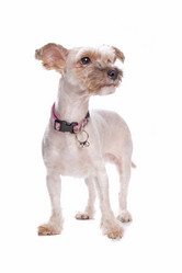 Similar image 1470928