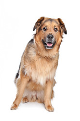 Similar image 1470936