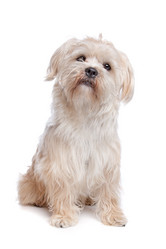 Similar image 1470938