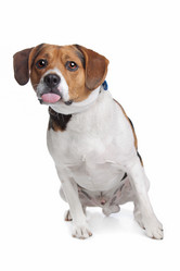 Similar image 1470947