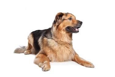 Similar image 1470950