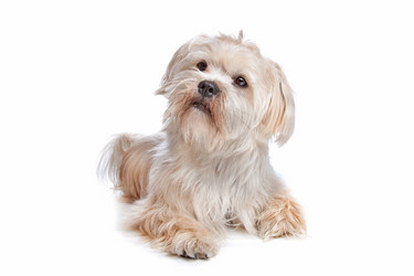 Similar image 1470953