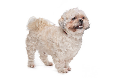 Similar image 1470954