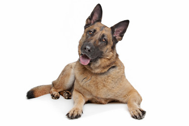 Similar image 1470960