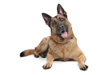 Similar image 1470962