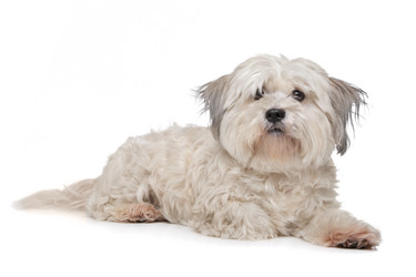 Similar image 1470964