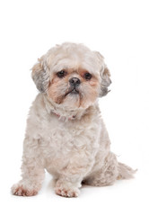 Similar image 1470966