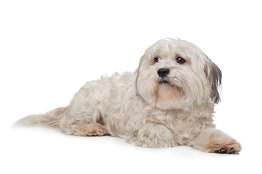 Similar image 1470972