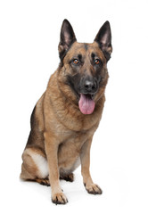 Similar image 1470976