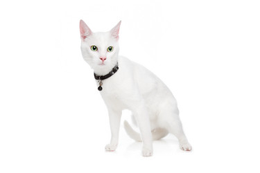 Similar image 1470996