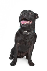 Similar image 1471009