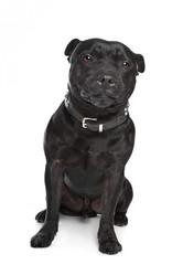 Similar image 1471012