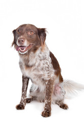 Similar image 1471037