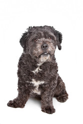 Similar image 1471069