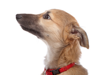 Similar image 1471070