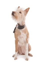 Similar image 1471077